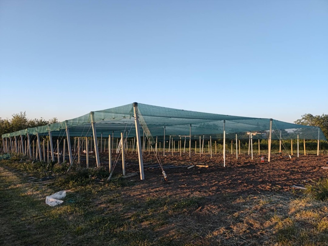 Betonski stubovi za protivgradnu zaštitu — Agro Letač